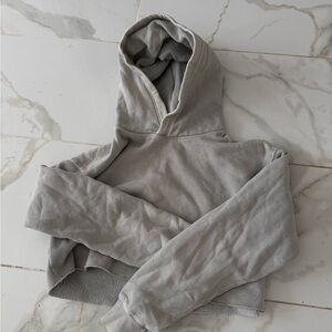TNA Aritzia Cropped Hoodie